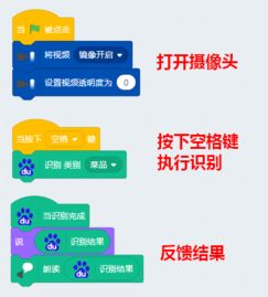 人工智能插件應(yīng)用 賦能大腦識(shí)別與軟件開發(fā)新紀(jì)元